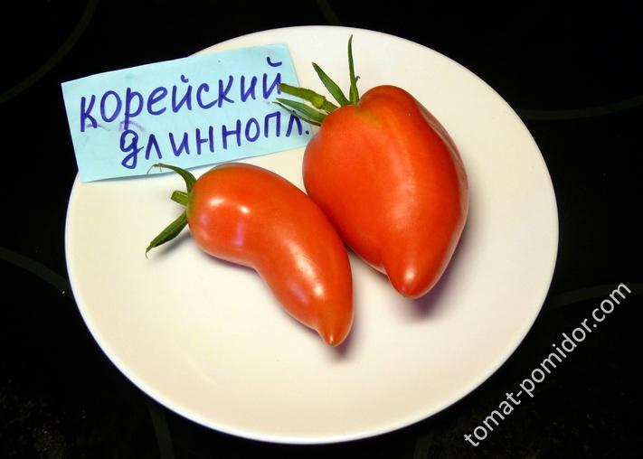 Корейский длинноплодный