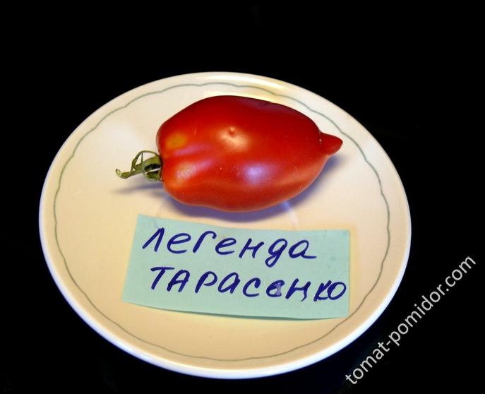 Легенда Тарасенко