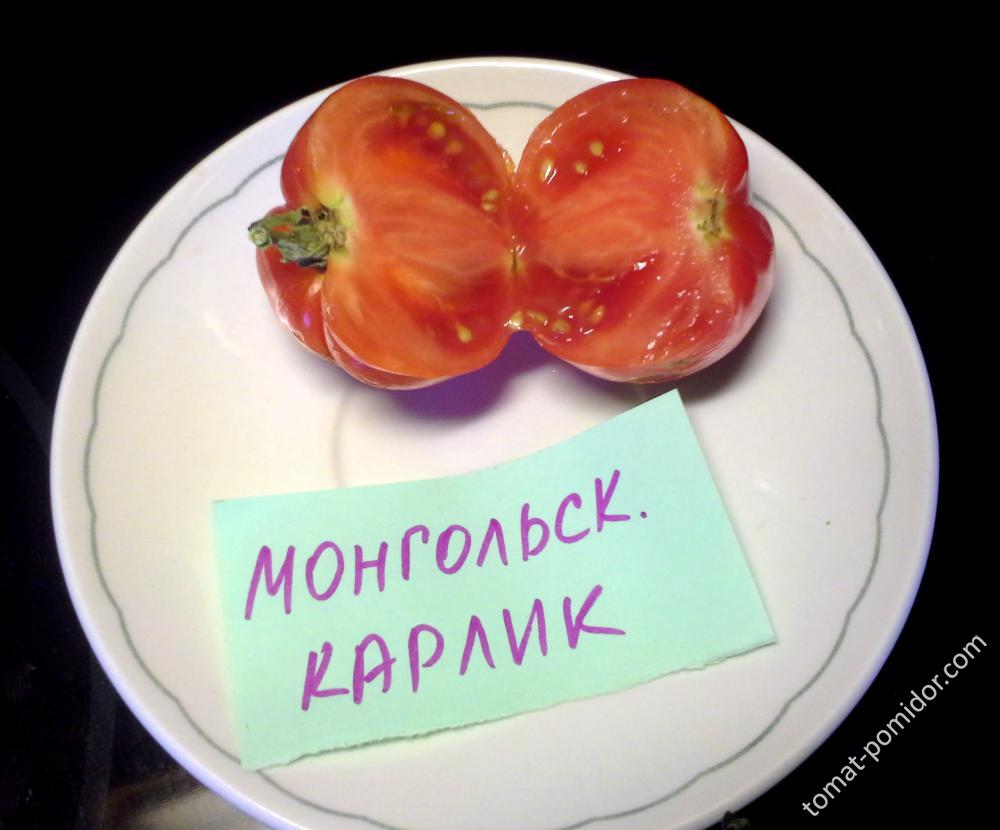 монгольский карлик