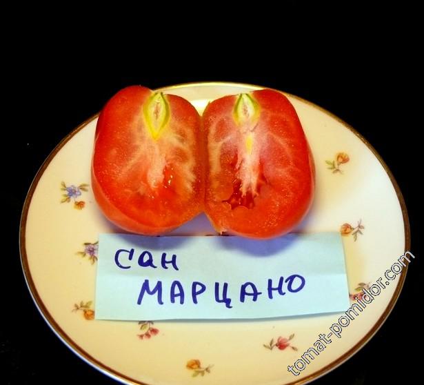 Сан марцано