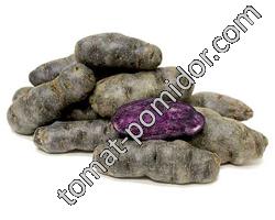 Potato Purple Peruvian - Перуанский пурпурный