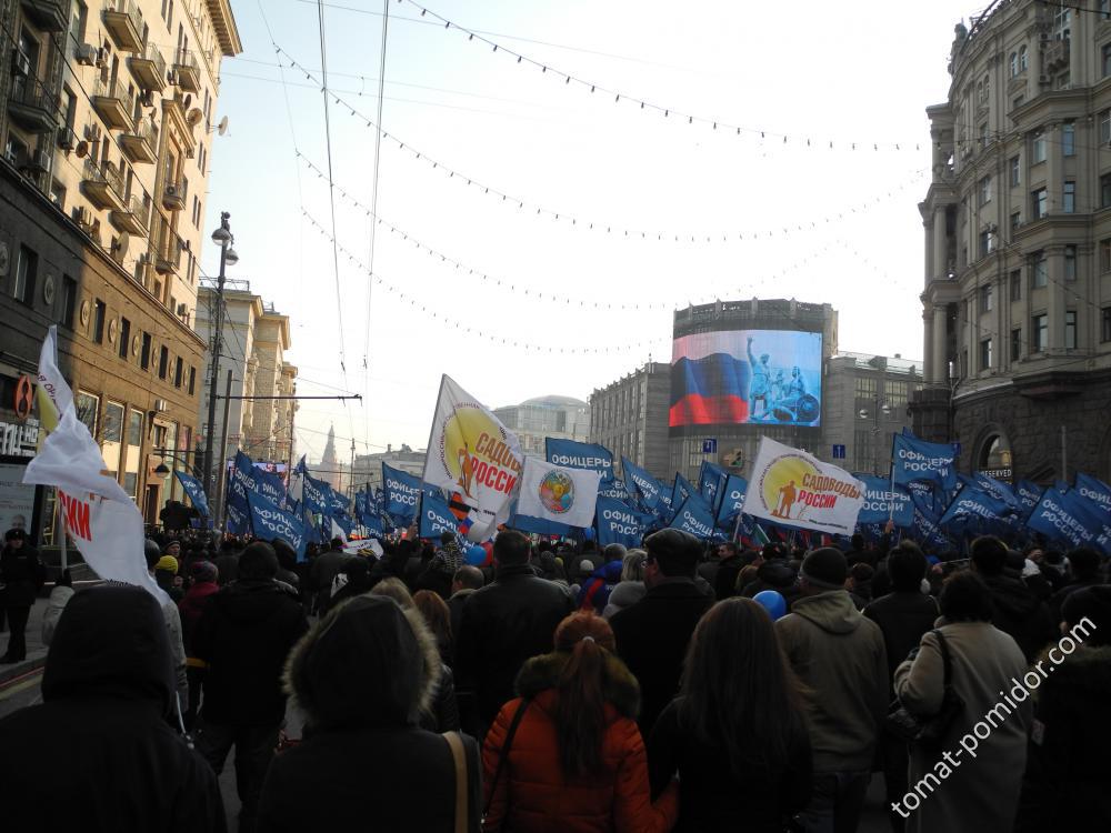 День Народного Единства 04.11.14.