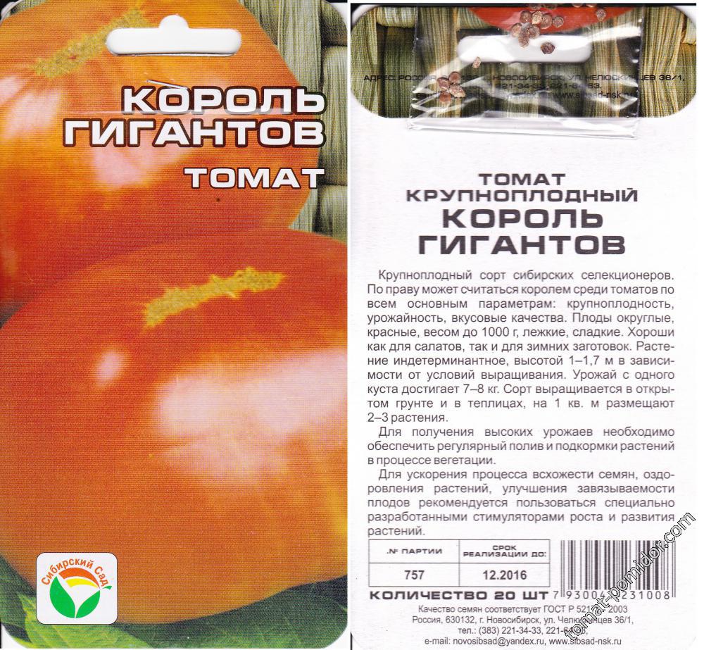 Король гигантов