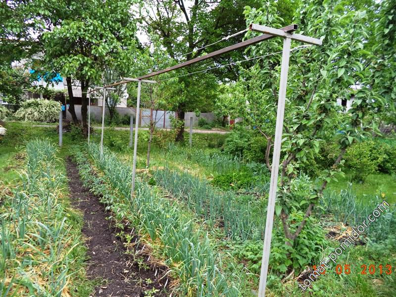 Опора для томатов в открытом грунте своими руками фото