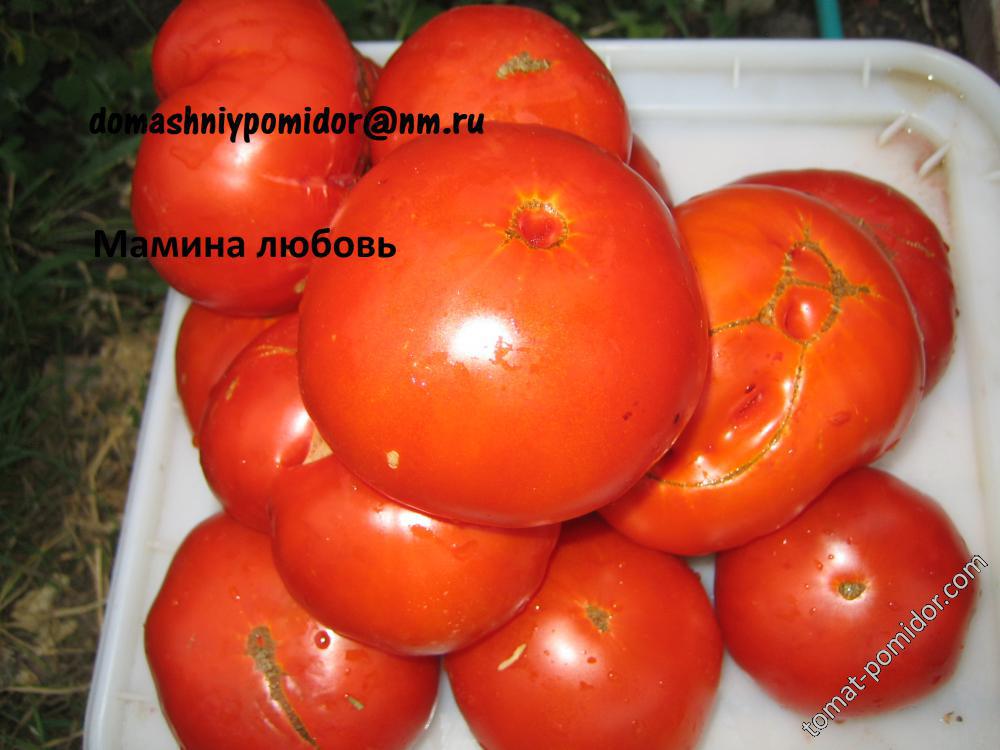 Мамина любовь