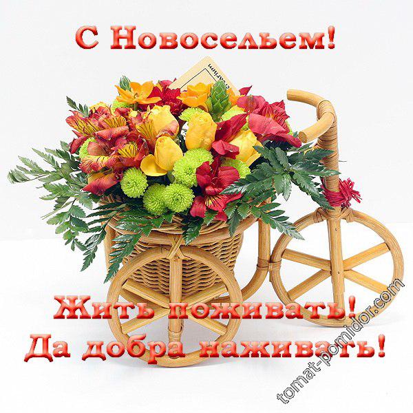 С новосельем!