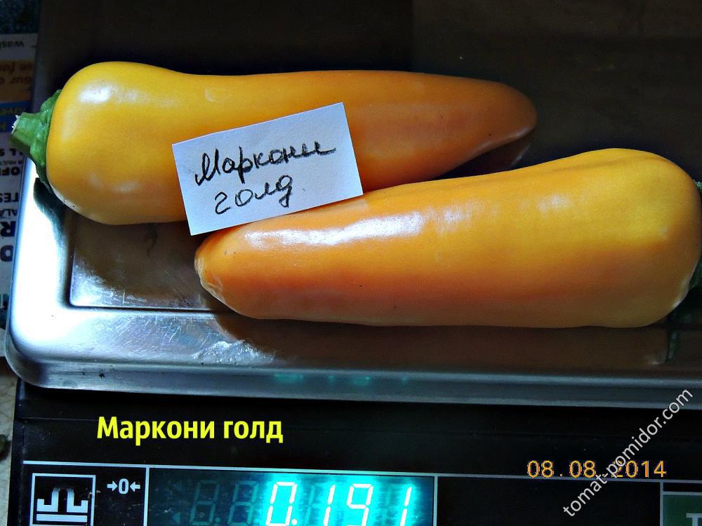 Маркони голд