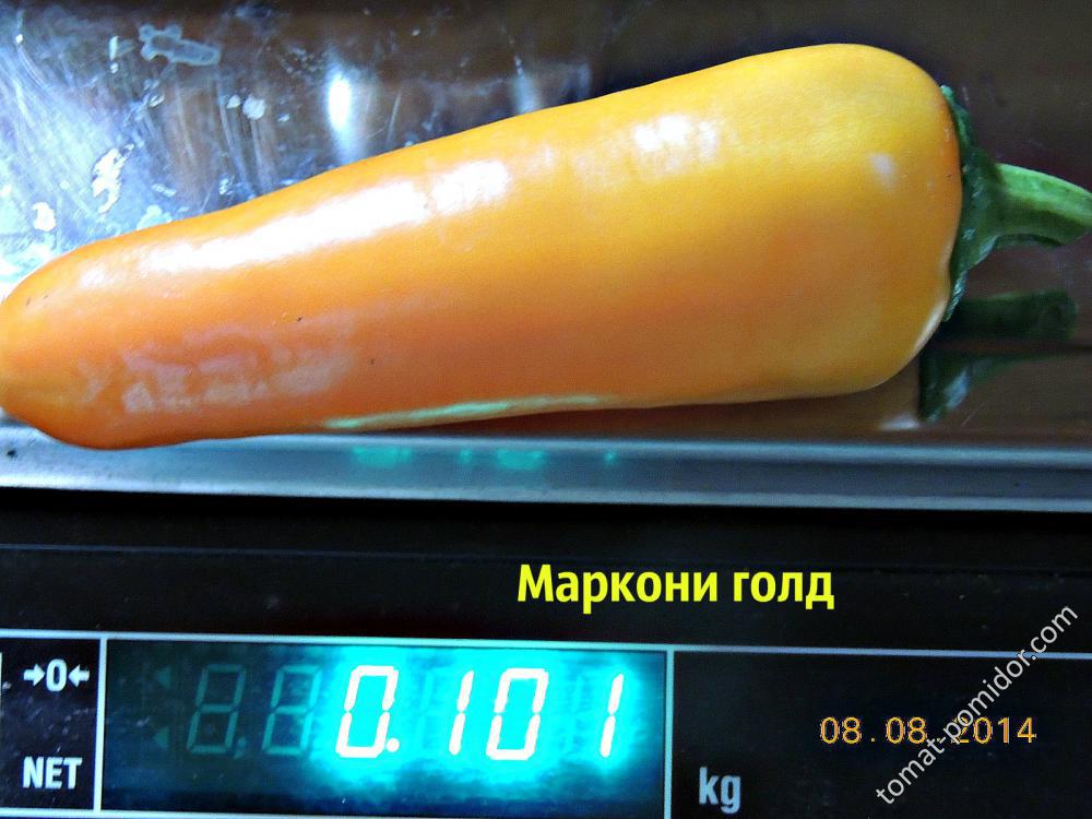 Маркони голд