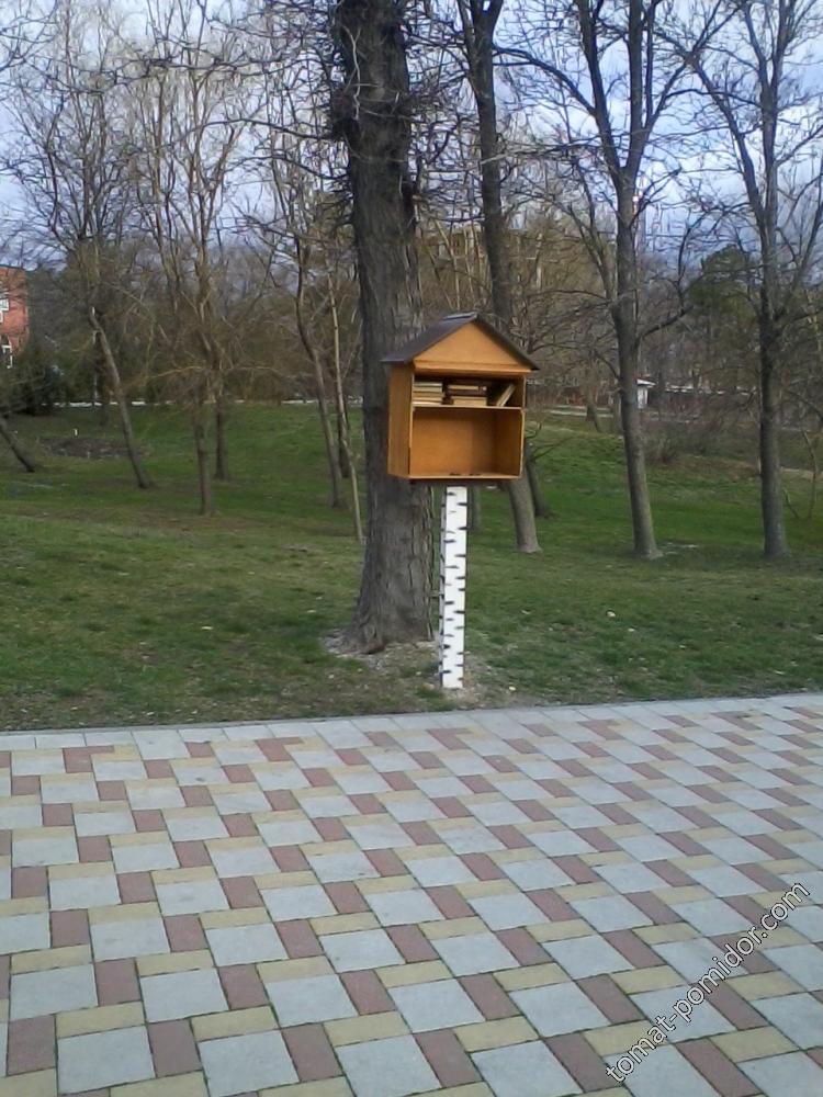 Публичная библиотека в парке