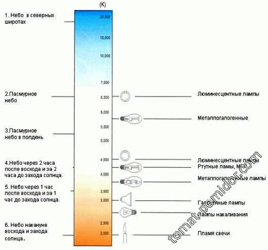 Цветовая температура