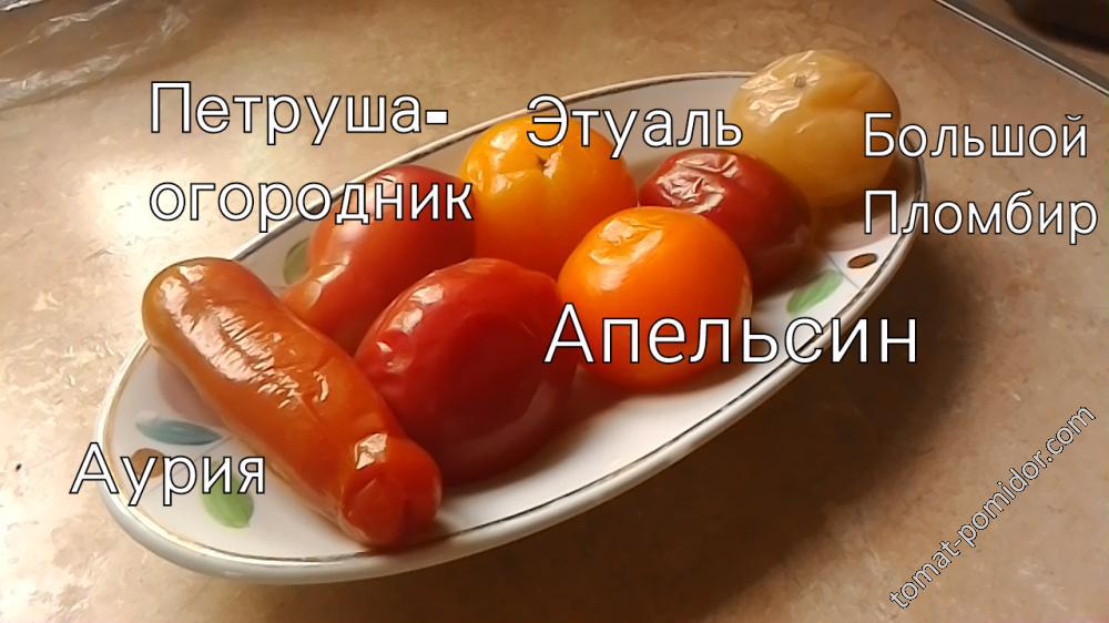 Дегустация