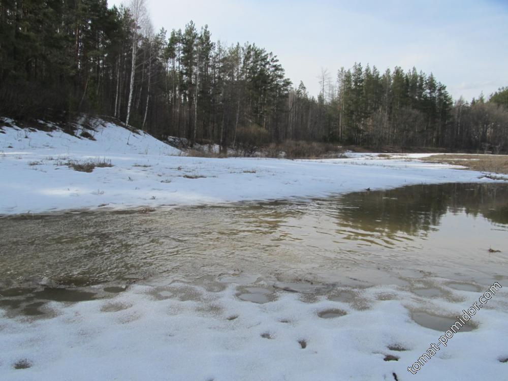 Вода в пойме начала затекать во все ложбинки