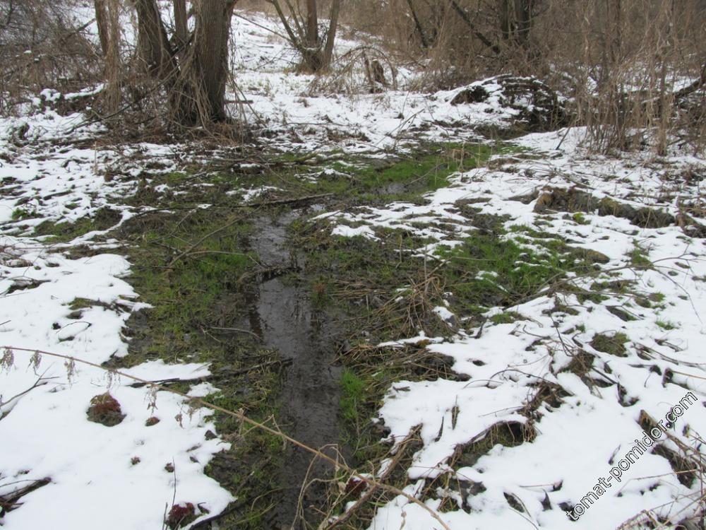 У воды жизнь