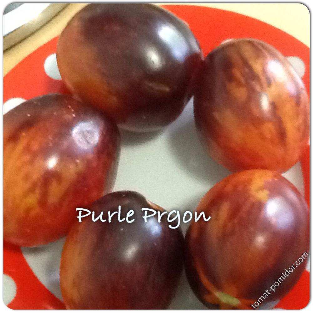 Purle Prgon