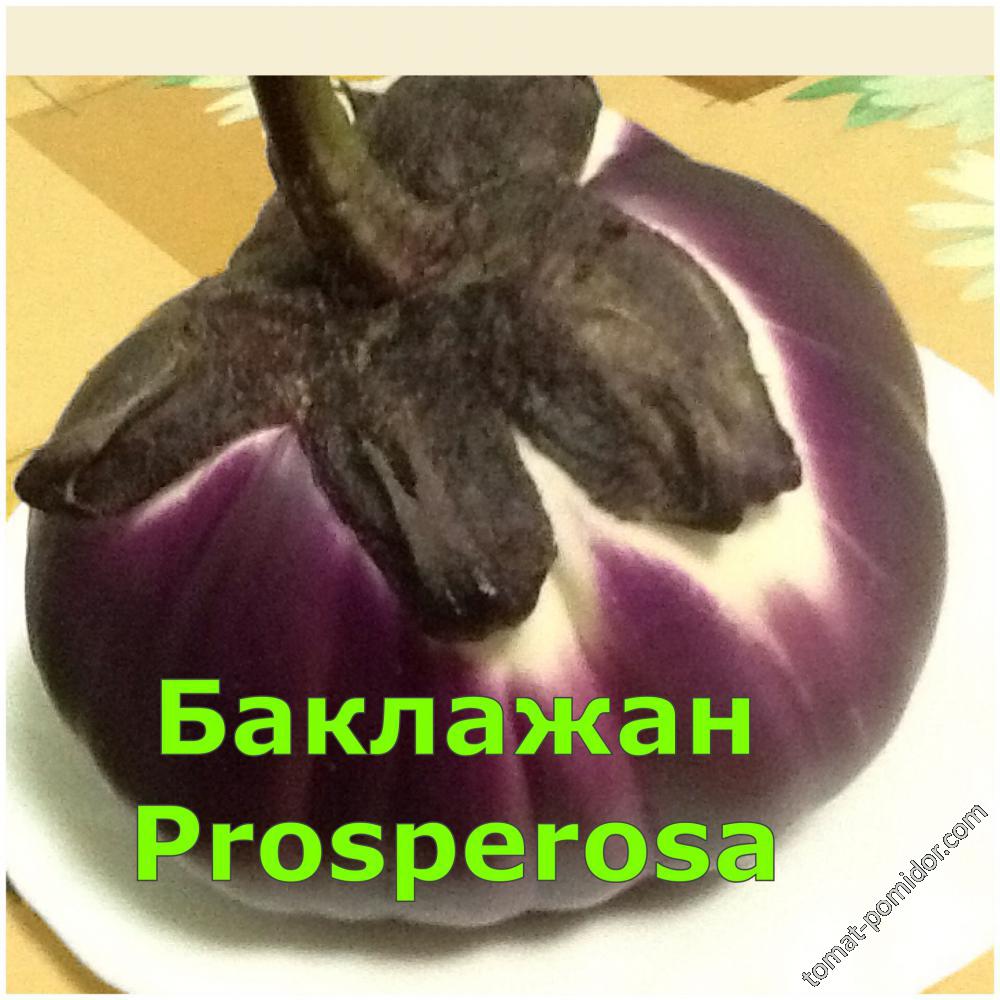 Баклажан Prosperosa