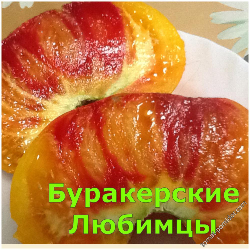 Буракерские Любимцы