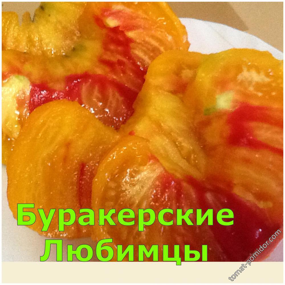 Буракерские Любимцы