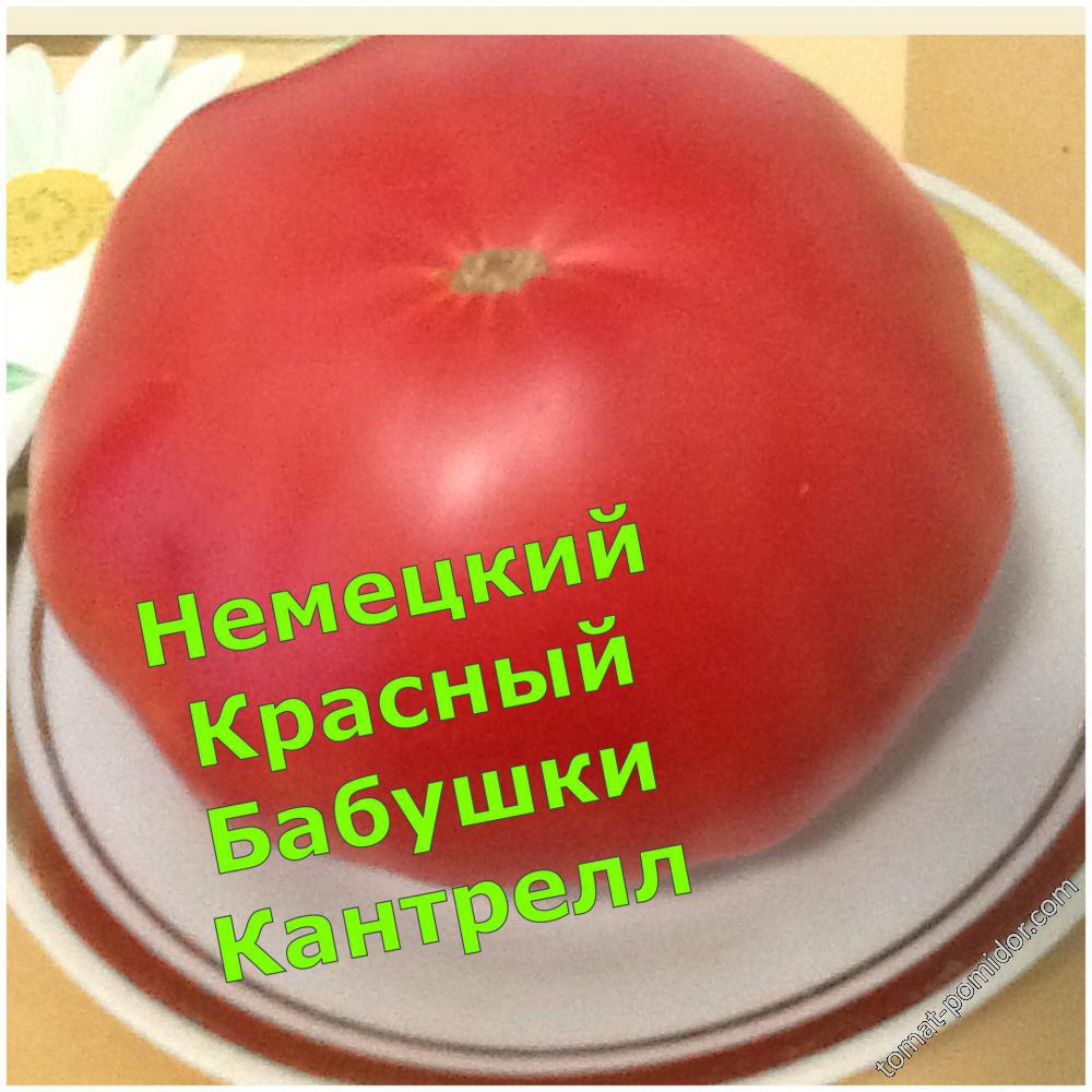 Бабуля Красный Немец (обозначение в каталоге Кулика А.)