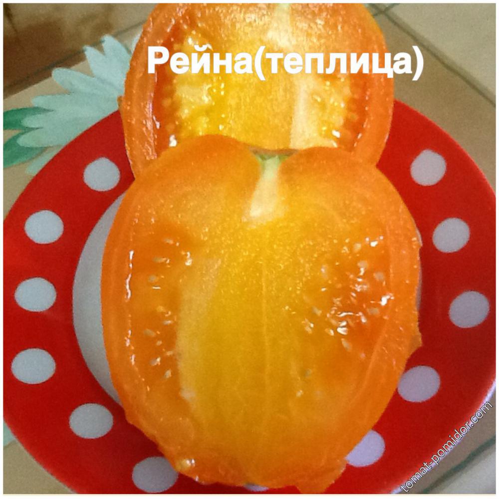 Рейна