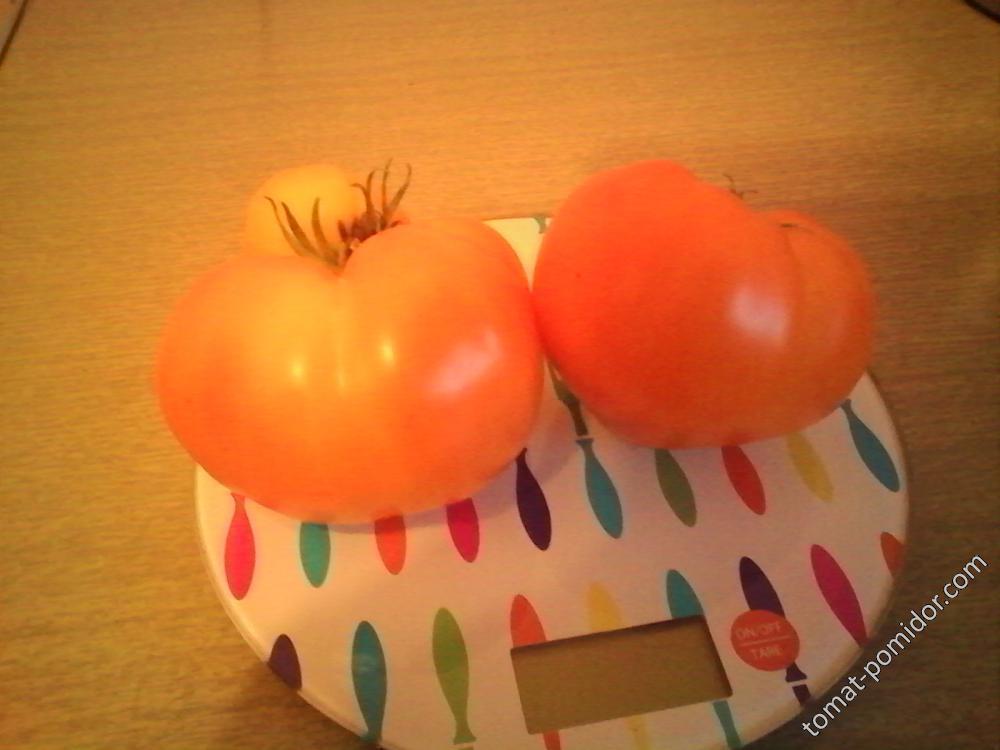 томатОранжевая клубника