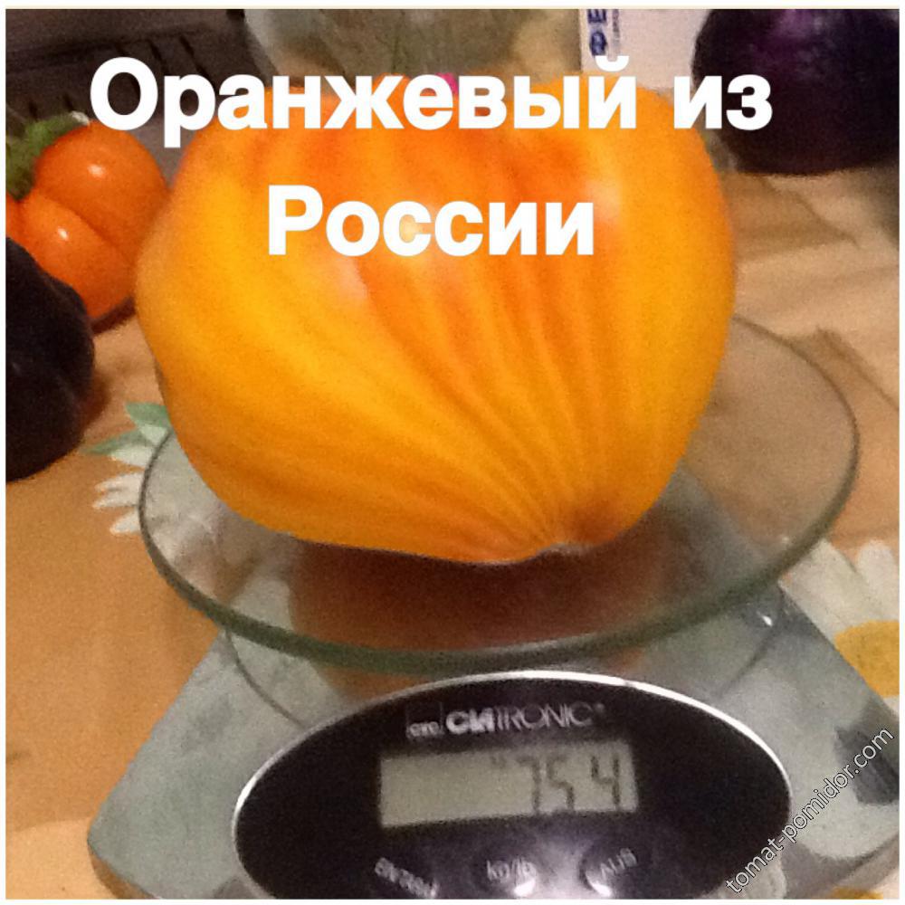 Оранжевый из России