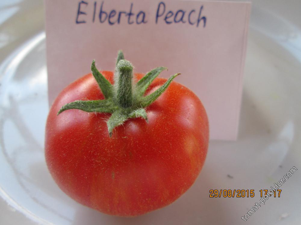 Elberta Peach