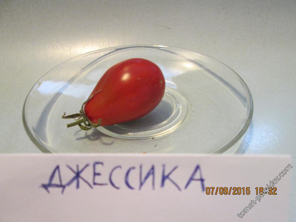 Джессика