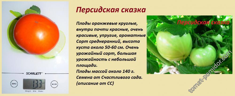 Помидоры сказка описание сорта фото. Томат Персидская сказка. Помидоры сказка описание. Помидоры сказка описание сорта. Томат сказка характеристика.