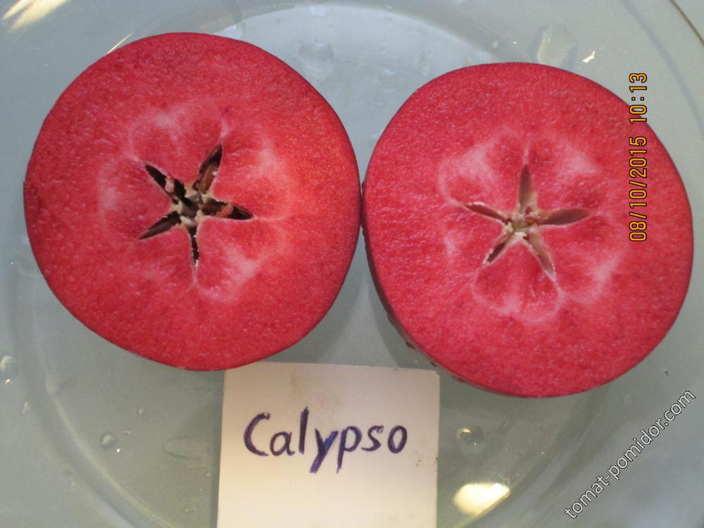 Calypso в разрезе