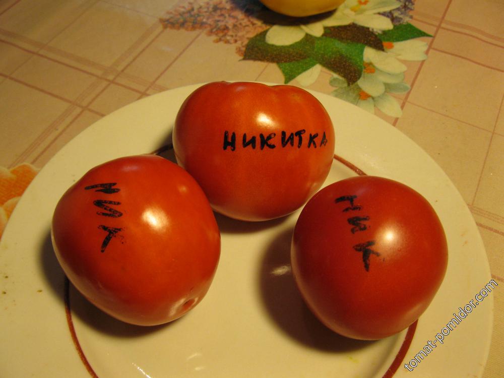 Никитка