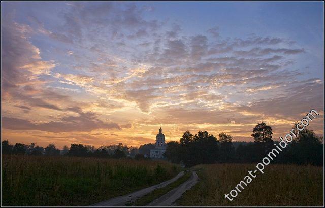 Фрязино,усадьба Гребнево